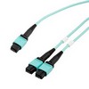 OM4,MPO24 至 MPO12