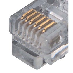 3类Telco分支线缆，Telco公头/8（6×6），3英尺（0.9米）的图片